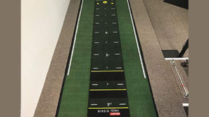 The Birdie Maker 10 Foot Putting Mat Review