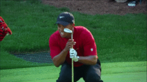 WHAT ARE THE ODDS?! | The Most Unique Shots on the PGA TOUR