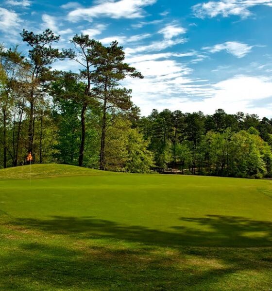 Beautiful golf course surrounded by trees and lake under a clear blue sky.