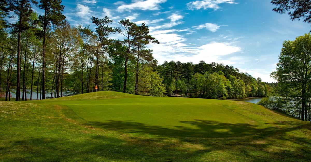 Beautiful golf course surrounded by trees and lake under a clear blue sky.