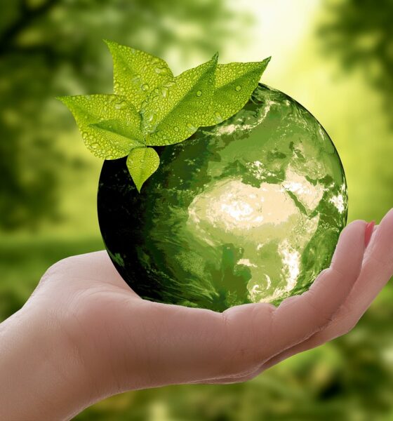 nature, earth, sustainability, leaf, caution, cycle, green, ecology, globe, world, sustainable, environment, protect, recycling, hand, keep, photomontage, composing, composition, fantasy, imagination, earth, earth, earth, sustainability, sustainability, sustainability, sustainability, sustainability, ecology, sustainable, recycling