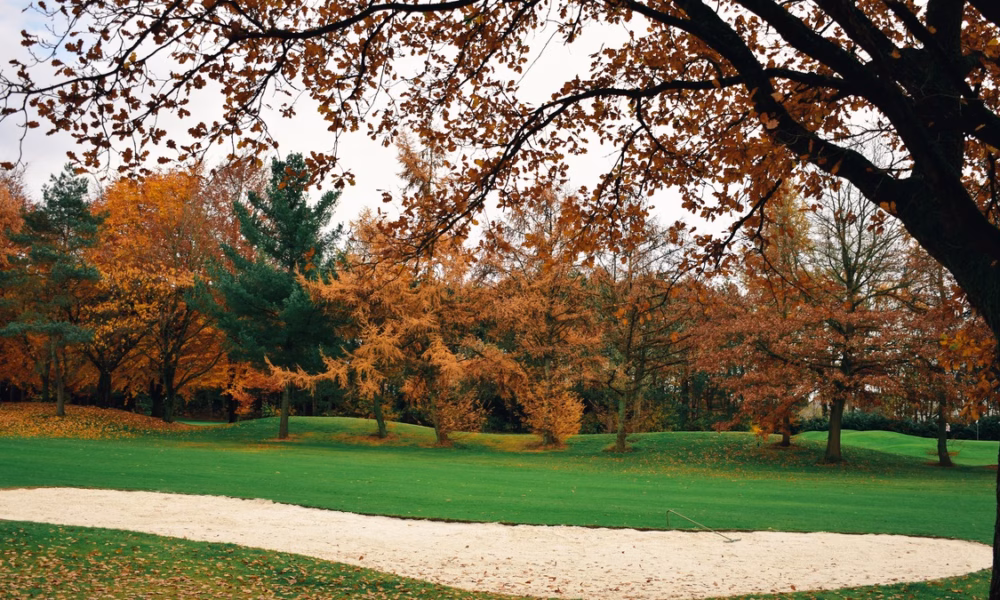 Best fall golf courses