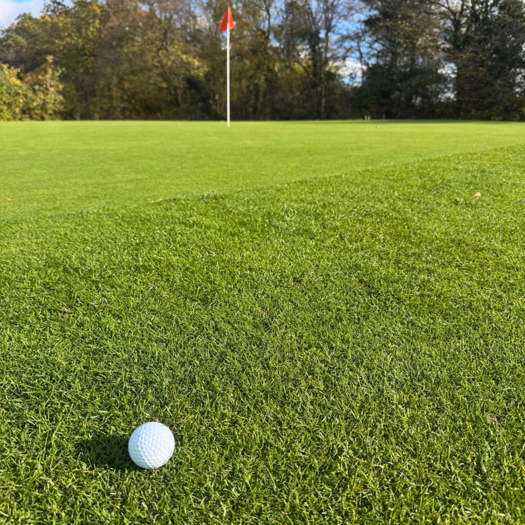 Golf ball on a green with the flag ahead, illustrating shot selection in a charity golf scramble.