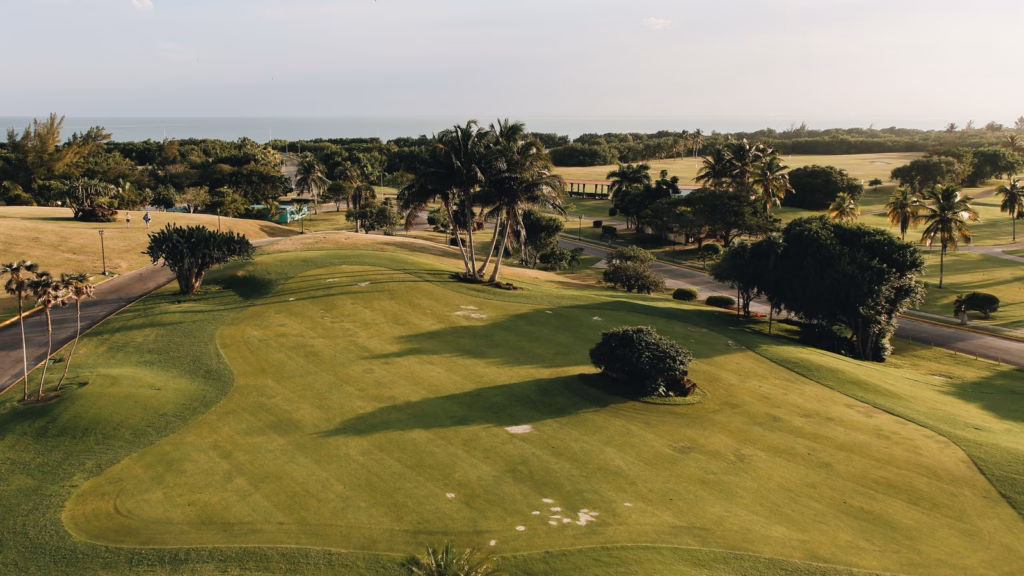 Palm-lined golf course in Cuba illustrating Mexico Open 2026 picks Caption: Cuba. Illustrative course photograph, not Vidanta Vallarta.
