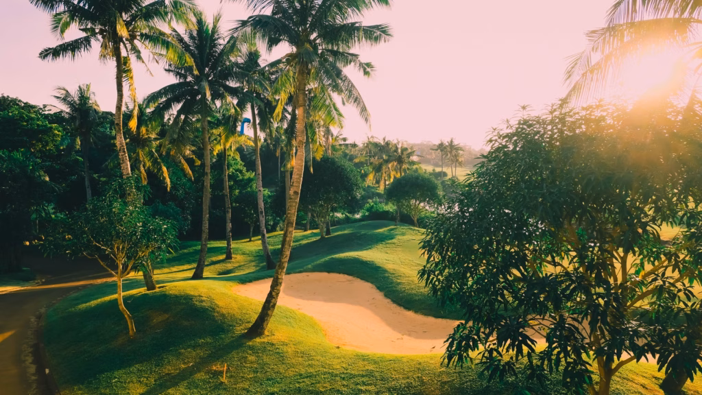 Palm-lined fairway and bunker illustrating Mexico Open course-fit considerations