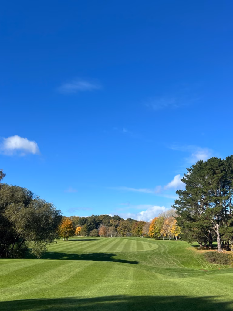 Fairway view for golfers learning how to run a golf tournament with friends.