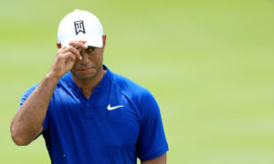 Fans Will Be Disappointed By This Tiger News
