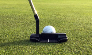 Golfer Drains 200ft Downhill Putt with Some Unexpected Help